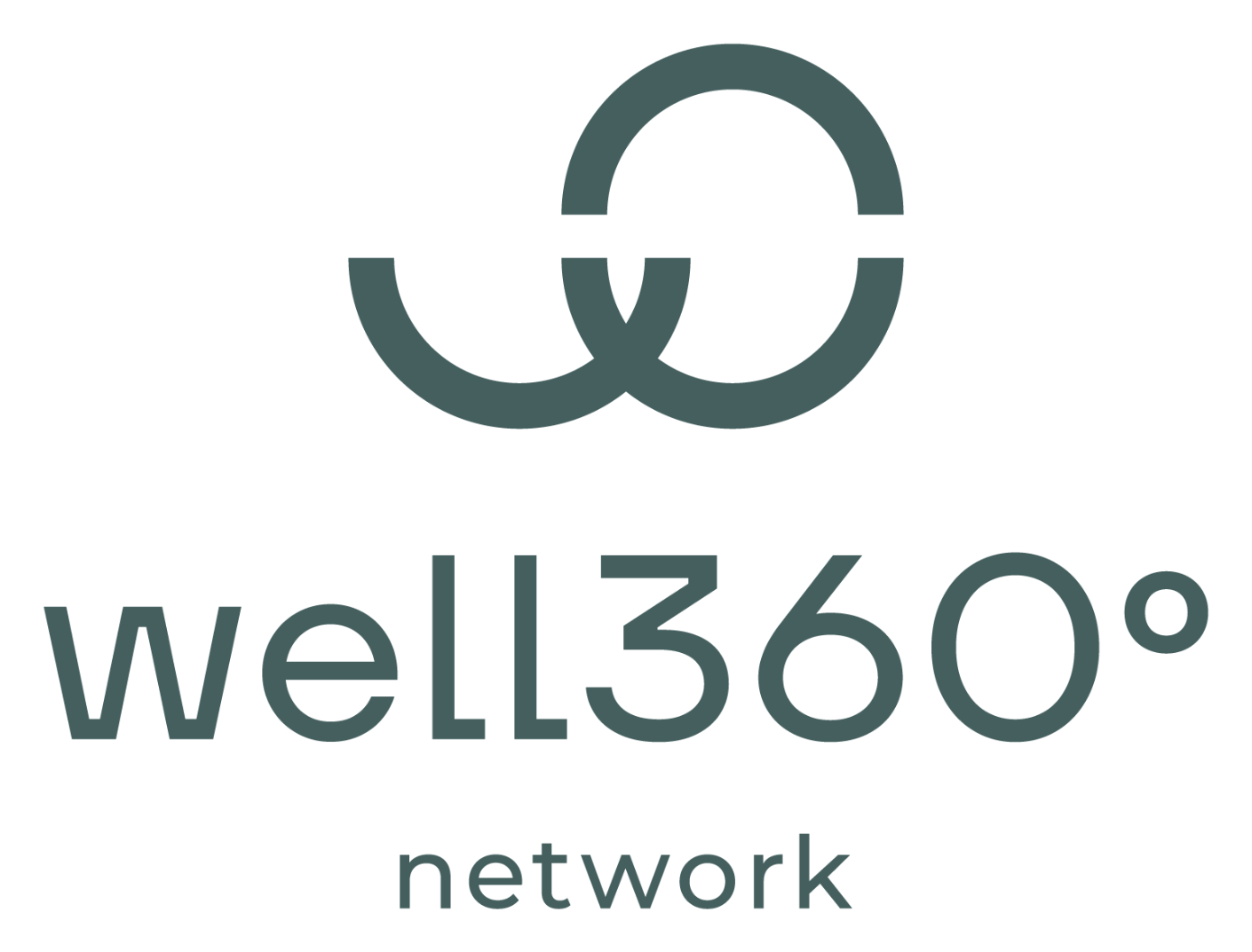 well360° network — official brand logo